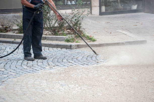 Best Animal Enclosure Cleaning  in Henrietta, TX