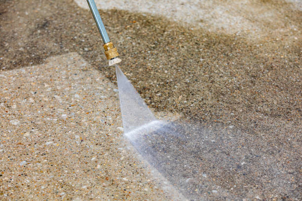 Best Animal Enclosure Cleaning  in Henrietta, TX