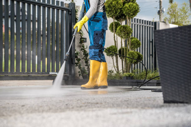 Animal Enclosure Cleaning in Henrietta, TX